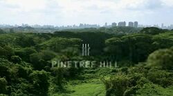 Pinetree Hill (D21), Condominium #408602661